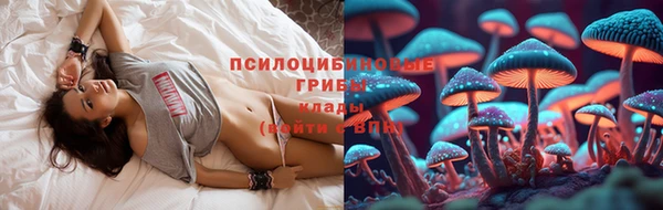 гидра Бронницы