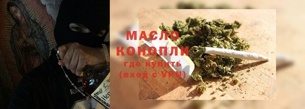 гидра Бронницы