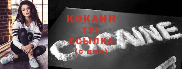 шишки Бородино