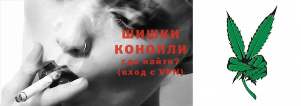 шишки Бородино