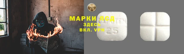 шишки Бородино