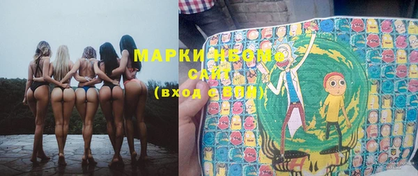 шишки Бородино