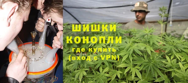 шишки Бородино