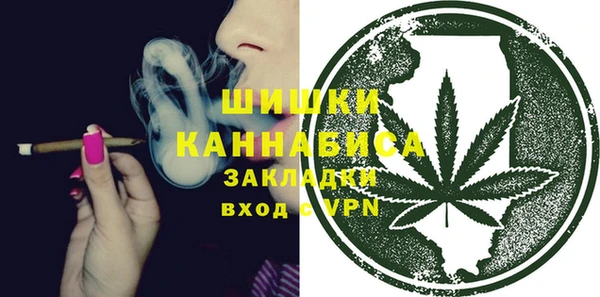 шишки Бородино
