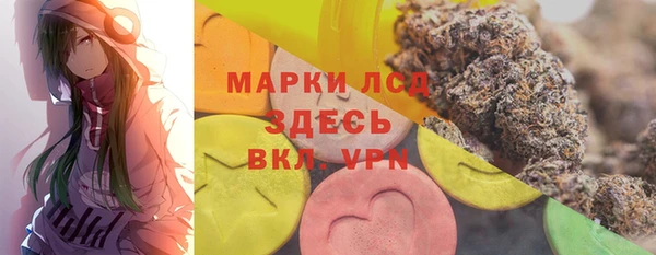 шишки Бородино