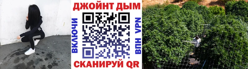 Конопля марихуана  как найти   Миллерово 